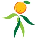 Wild Apricot